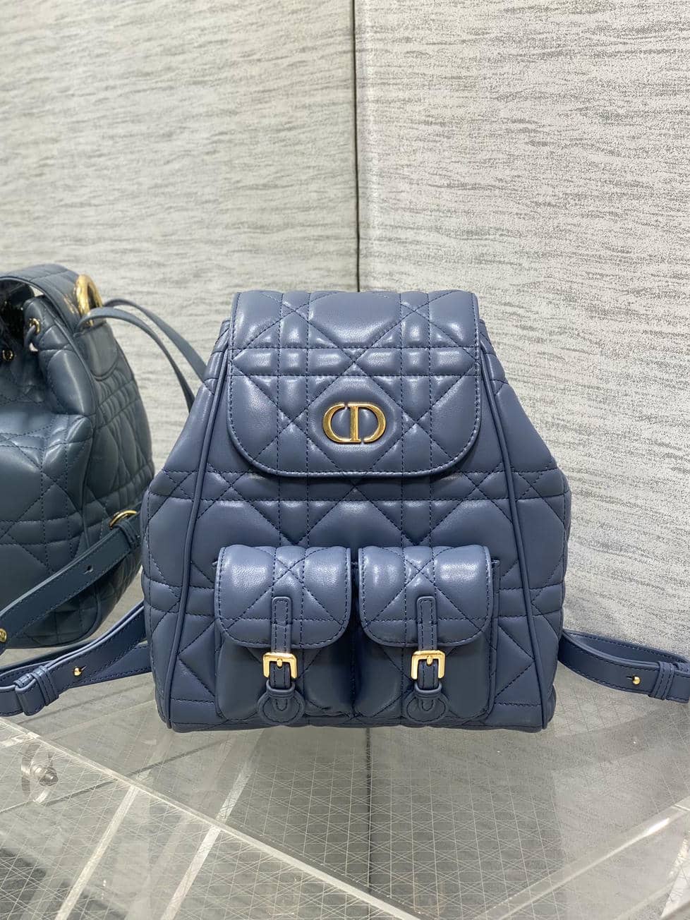 Backpack 0010